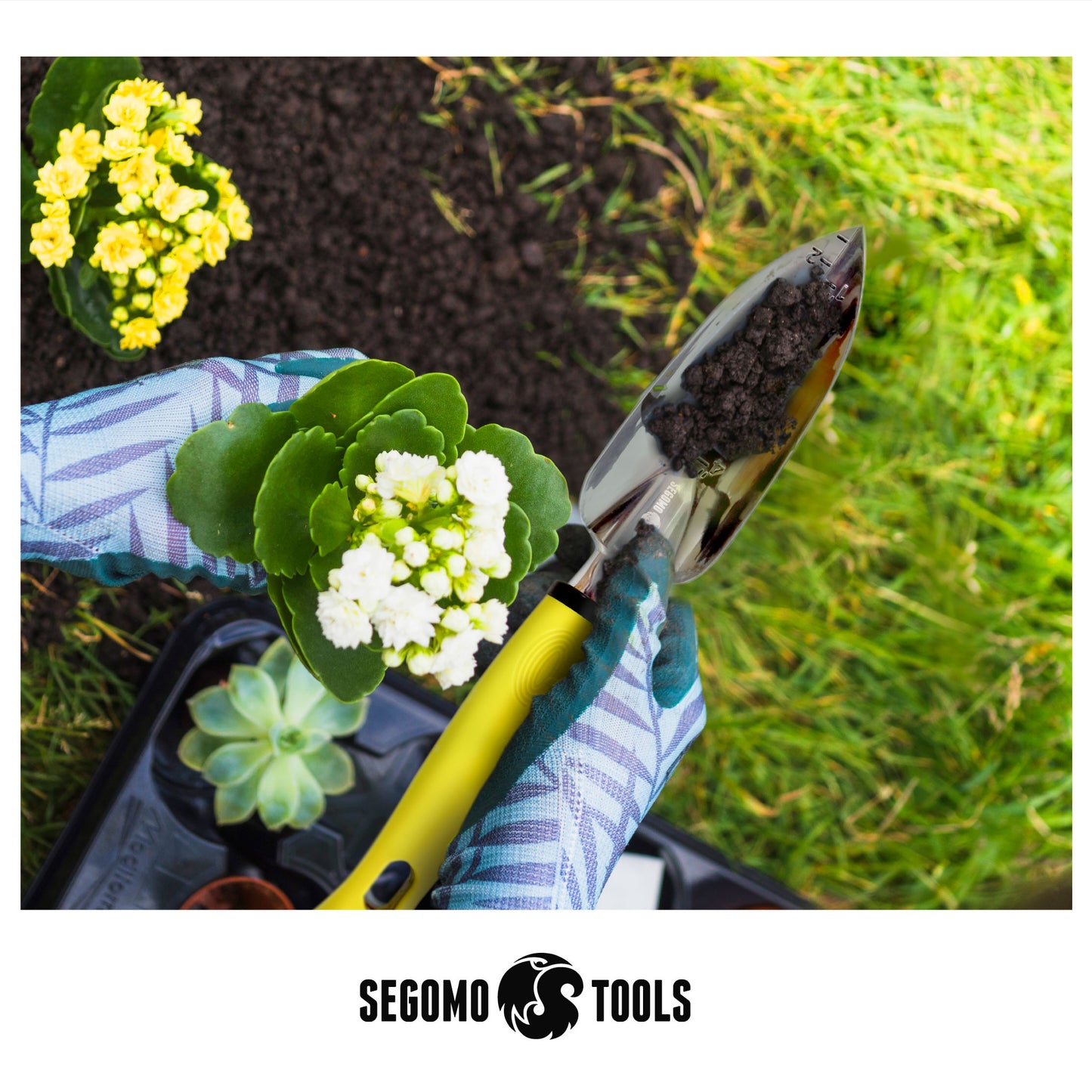 a picture of a person holding a skateboard