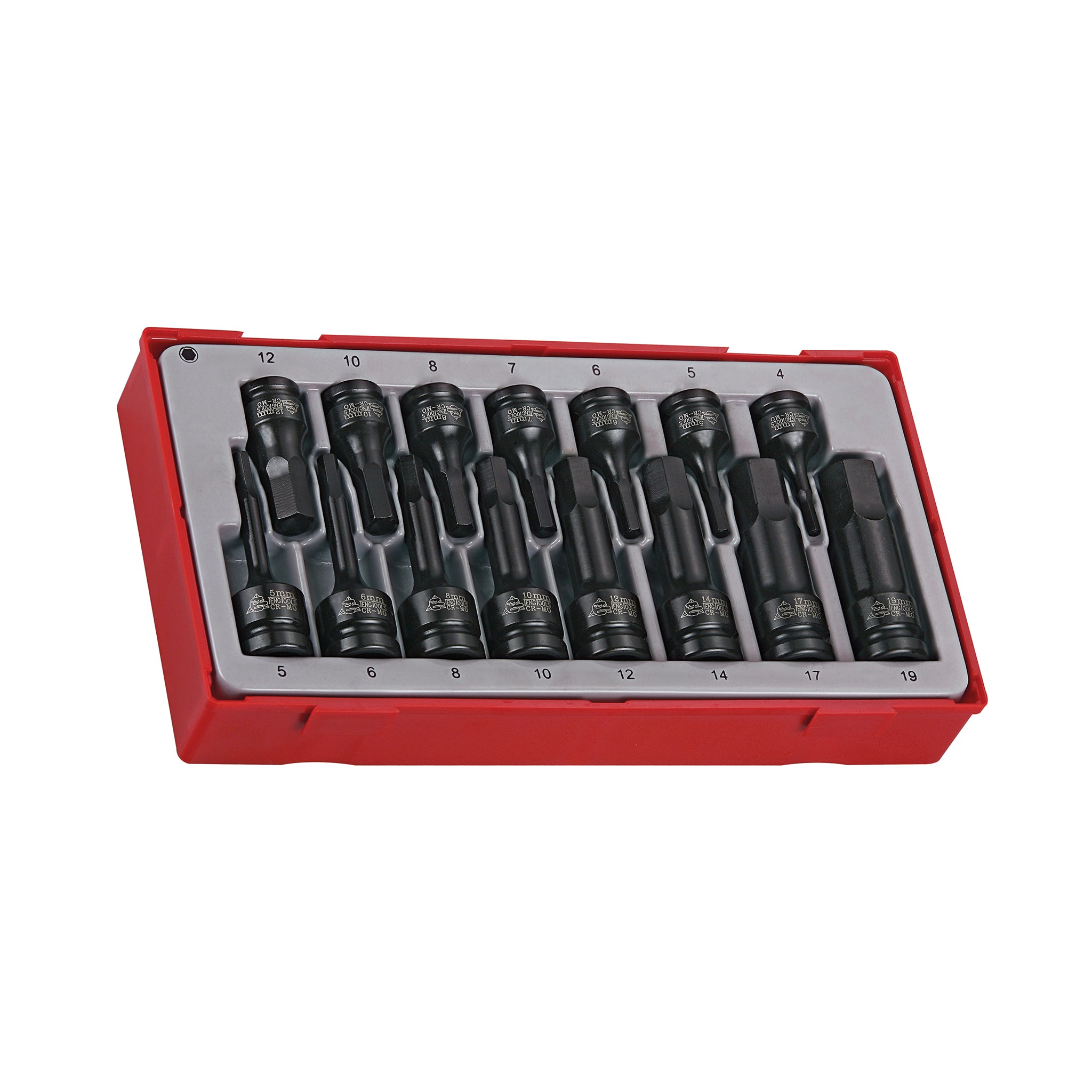 TengTools Steckschlüssel-Set (15-teilig) – 3/8" & 1/2" Antrieb, Größen 4-19mm