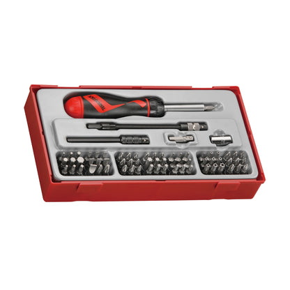 Teng Tools Juego de destornillador, extensión y adaptador de puntas de trinquete con accionamiento de 1/4 de pulgada, 74 piezas - TTMD74