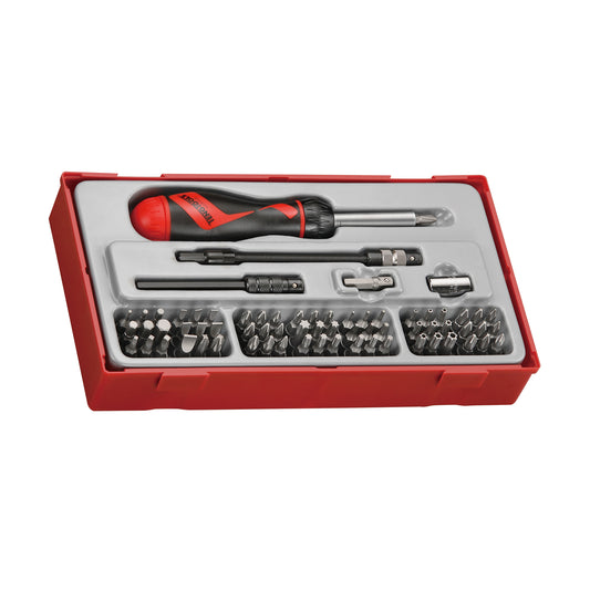 Teng Tools Juego de destornillador, extensión y adaptador de puntas de trinquete con accionamiento de 1/4 de pulgada, 74 piezas - TTMD74