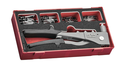 Teng Tools 100 Piece Double Flex Wrench, Ratchet Wrench & Rivet Gun Foam Kit - TC-6T-20