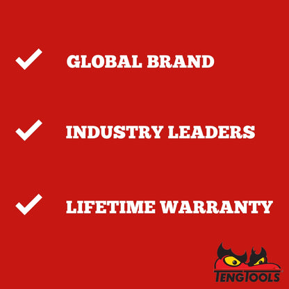 Teng Tools Pince à joint coulissant/pompe à eau TPR Grip 10 pouces - MB481-10T