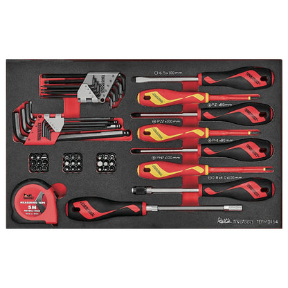 Teng Tools Tournevis mixte 54 pièces, clé hexagonale/TX, embout, mandrin rapide et plateau en mousse EVA - TEFMDI54