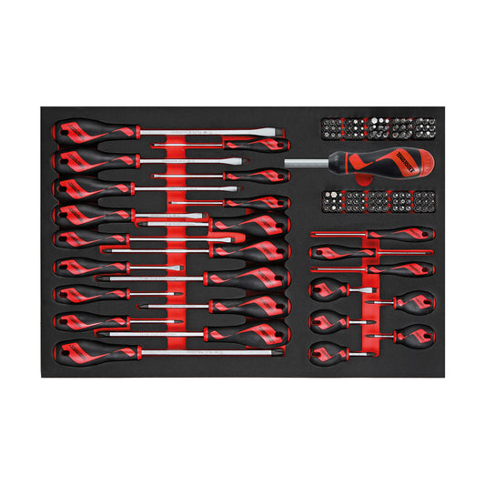 Teng Tools Juego de destornilladores planos, PH, PZ y hexagonales de 122 piezas en bandeja de espuma EVA de precisión - TTEMD122N