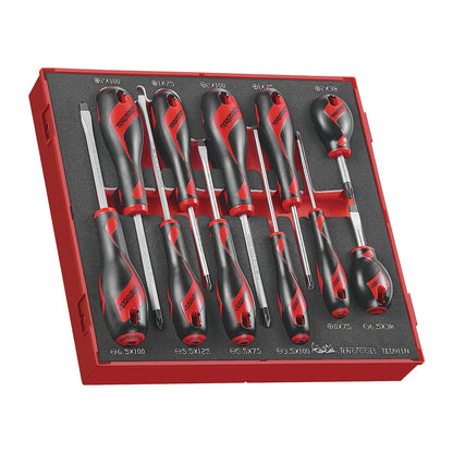 Teng Tools 94 Piece Screwdriver, Plier & Bit Foam Kit - TC-6T-10