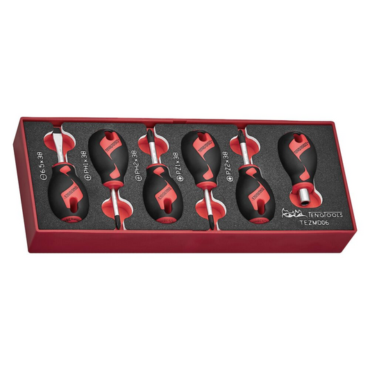 Teng Tools TEZMD06 - Destornillador con punta plana/ranurada, Phillips (PH), Pozidriv (PZ) de 6 piezas